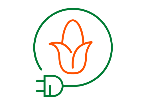 Power Maize